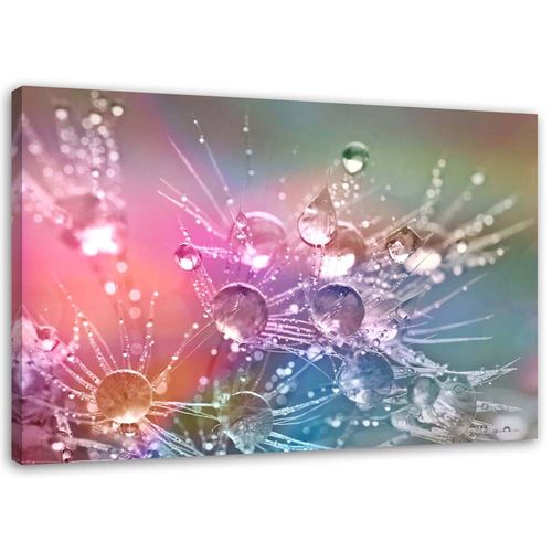 OBRAZ NA PŁÓTNIE Dmuchawiec Krople Kwiaty na Arena.pl