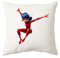 Poduszka Biedronka i Czarny Kot