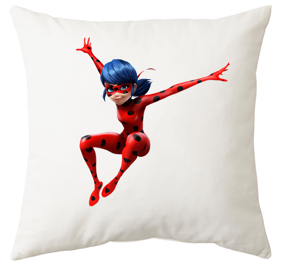 Poduszka Biedronka i Czarny Kot zdjęcie 1