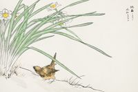 Plakat 45x30cm  Wren and Daffodil. Kashu Japoński Vintage