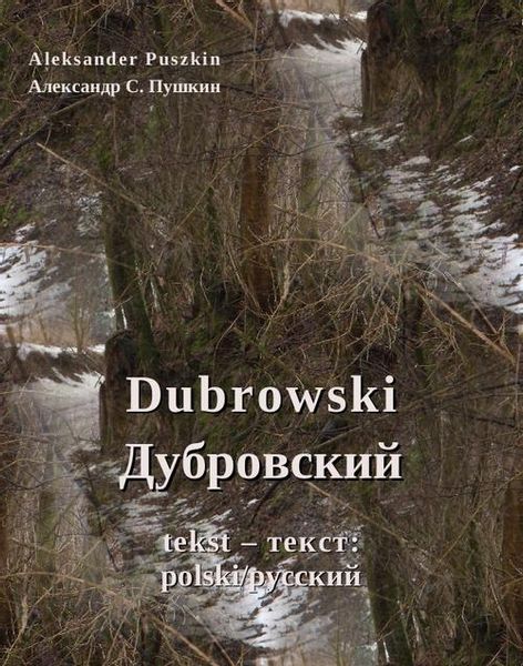 (epub, mobi) Dubrowski zdjęcie 1
