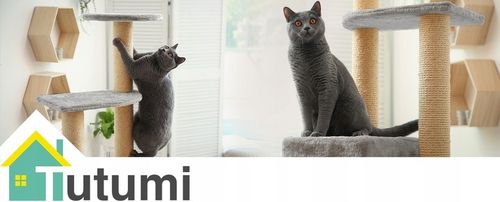 DRAPAK DLA KOTA WIEŻA LEGOWISKO DOMEK Z ZABAWKAMI BEŻOWY DUŻY XXL 120 cm na Arena.pl