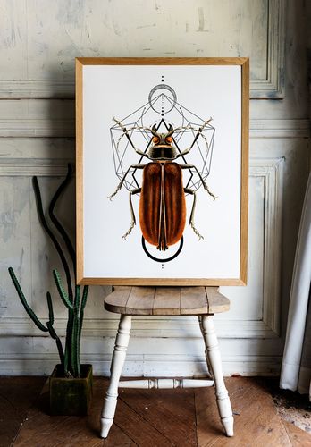 Plakat robaki owady geometria 70x100 cm na Arena.pl