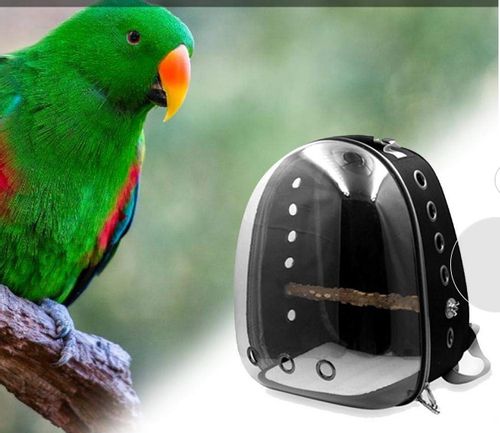 TRANSPORTER DLA PAPUG PTAKÓW NIMF ŻAKO GRZĘDA 2kol na Arena.pl