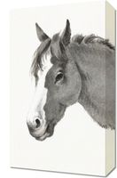 Obraz 30x50cm Głowa Konia, Jean Bernard Vintage do Salonu