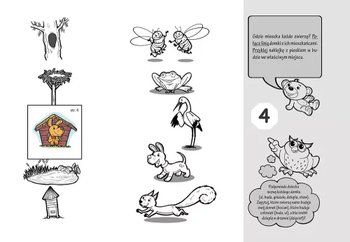 Akademia - 4 Lata na Arena.pl