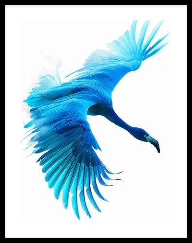 Plakat 30x40cm Błękitny Lot na Arena.pl