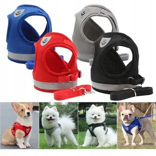 Szelki Bezuciskowe Spacerowe Regulowane Odblask Dla Kota + Smycz Rozmiar Xs na Arena.pl