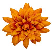 product-compare-61190521