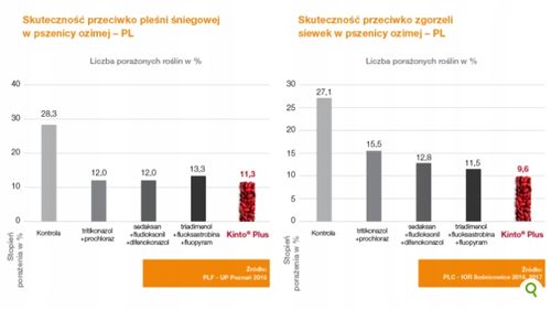 KINTO PLUS 1L zaprawa ziaren siewnych zbóż BASF na Arena.pl