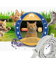 2x OBROŻA NA KLESZCZE I PCHŁY DLA KOTA ANTYKLESZCZOWA 8 MIESIĘCY OCHRONY