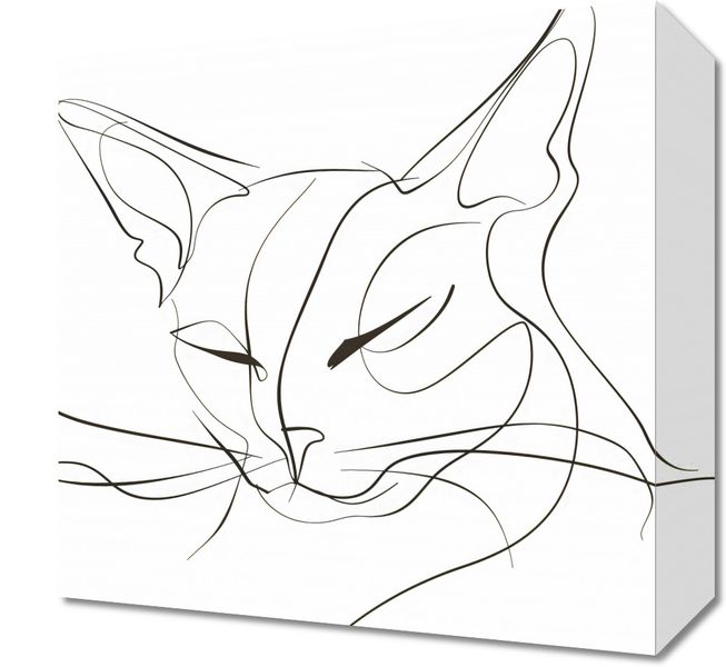 Obraz 30x30cm Linijny Kot zdjęcie 1