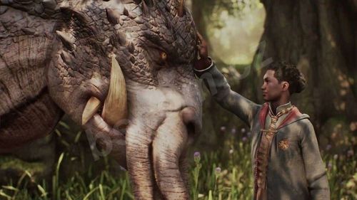 Hogwarts Legacy Dziedzictwo Hogwartu | PEŁNA WERSJA | STEAM | Wysyłka 24/7 na Arena.pl