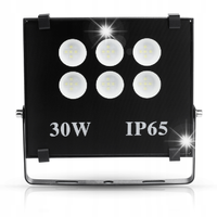 HALOGEN LED 30W NAŚWIETLACZ LAMPA IP65 3000lm