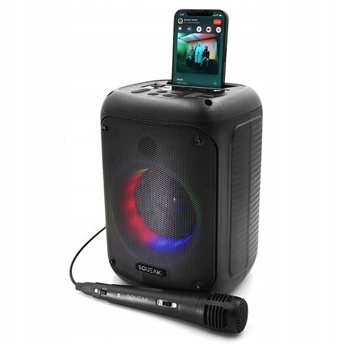 Głośnik karaoke SQUEAK Beatflow Bluetooth 5.0 + EDR na Arena.pl