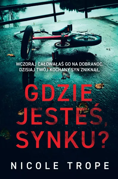 Gdzie jesteś, synku? zdjęcie 1