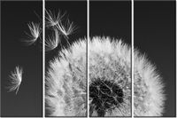 120CM 80 OBRAZ 4 ELEM DMUCHAWIEC GEMMA STILES ŚCIENNY