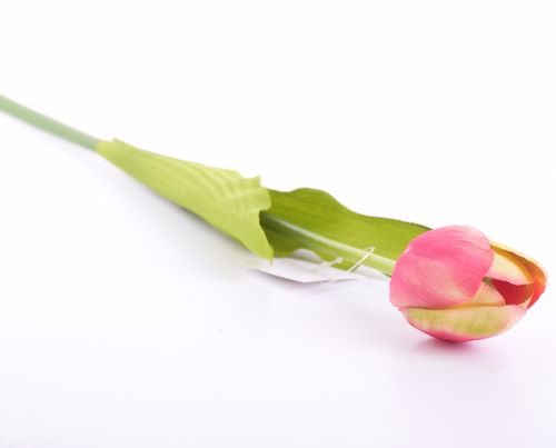 Tulipan 55cm różowy na Arena.pl