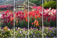 product-compare-58698628