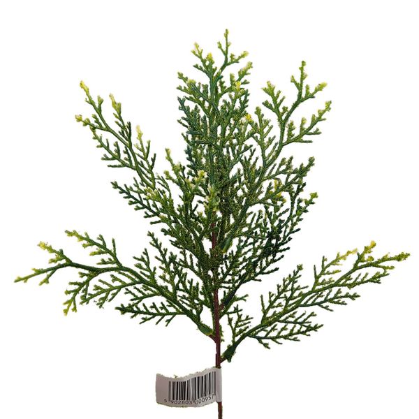 Gałązka cyprys 12szt zdjęcie 1