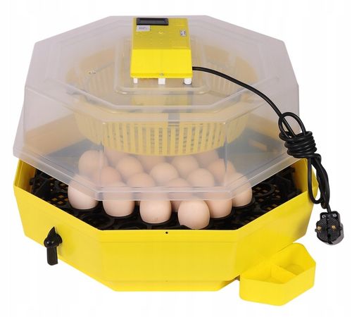 INKUBATOR CLEO 5DTHE 60/41 JAJ WYLĘGARKA KLUJNIK LCD TERMOMETR TACA na Arena.pl