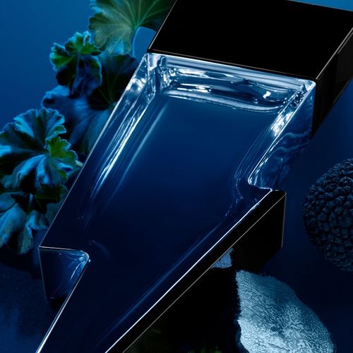 Bad Boy Cobalt woda perfumowana spray 100ml na Arena.pl