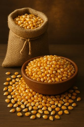 ZESTAW POPCORN ZIARNO 3x1kg KUKURYDZA DO PRAŻENIA DOSKONAŁA JAKOŚĆ PREMIUM na Arena.pl