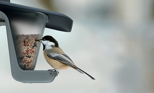 Karmnik dla ptaków Birdyfeed Double antracytowy na Arena.pl