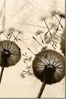 product-compare-58703880