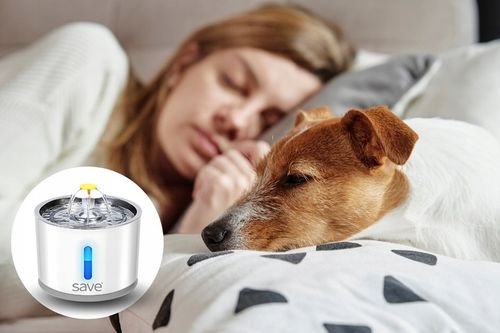 FONTANNA POIDEŁKO AUTOMATYCZNE DLA KOTA PSA CICHA + FILTR na Arena.pl