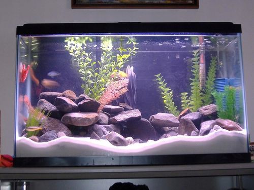 16kg Biały Piasek Kwarcowy do Akwarium 0,5-1mm na Arena.pl