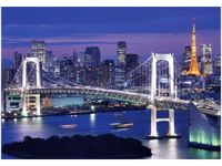 100 70CM OBRAZ PŁÓTNO ZATOKA TOKIJSKA PŁÓTNO RAMA