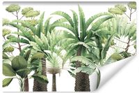 Fototapeta Ścienna DRZEWA Tropikalne Bananowce Palmy Rośliny 90cm x 60cm