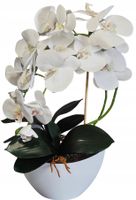 Storczyk sztuczny orchidea kwiaty białe jak żywe bardzo starannie wykonane