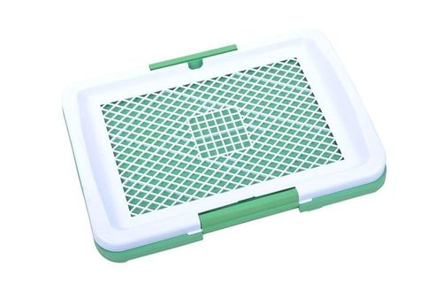 Kuweta dla psa na Arena.pl