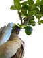 thumbnail-4