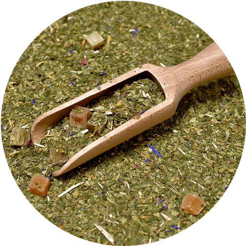Verde Mate Green Más IQ Tropical 50 g na Arena.pl