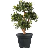 Donica klasyczna tradycyjna antracyt średnica 55 cm