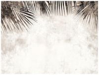 FOTOTAPETA LIŚCIE PALMY BETON BOHO KUCHNIA SYPIALNIA SALON TAPETA 250x175