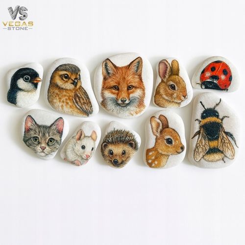 KAMIENIE DO MALOWANIA DLA DZIECI BIAŁE PŁASKIE 4-6CM GŁADKIE ZESTAW na Arena.pl