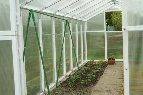 Tyczki do roślin Podpora pomidorów powlekana stal Palik 150cm 10 szt na Arena.pl