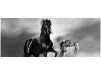 product-compare-58645365