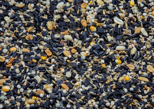 KARMA PREMIUM SŁONECZNIK ORZECH ZIARNO DO KARMNIK DLA DZIKICH PTAKÓW na Arena.pl