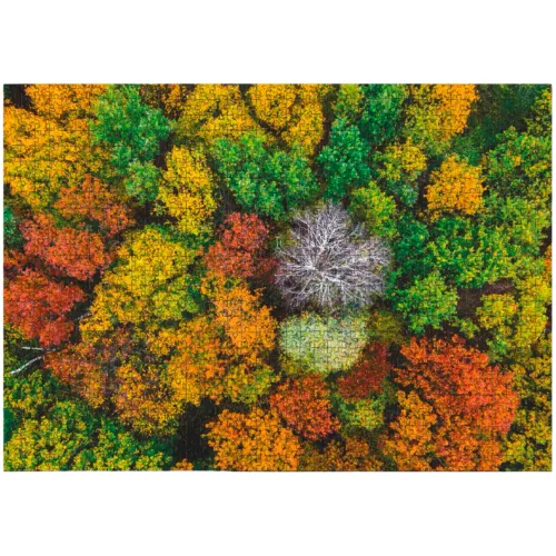 Puzzle 1000 elementów. Wioska Dzembronya. Ukraina na Arena.pl