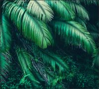 Tło do fotografii produktowej kulinarnej Flat Lay