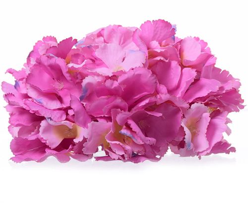 Hortensja wyrobowa na Arena.pl