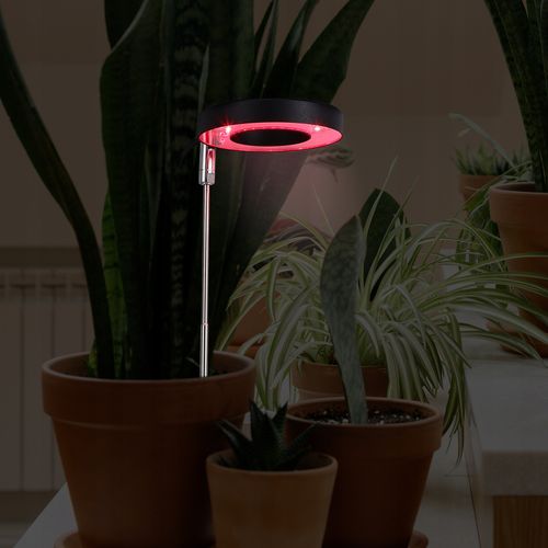 Lampa do Wzrostu Roślin 48 LED Timer + Pilot na Arena.pl