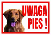 UWAGA PIES  RETRIEVER - Tabliczka ostrzegawcza