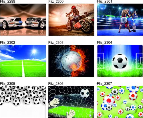 FOTOTAPETA DO POKOJU RING BOKS WALKA 380x256 na Arena.pl