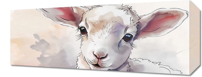 Obraz 50x20cm Mała Owieczka zdjęcie 1